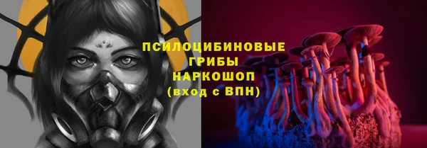 сатива Абаза