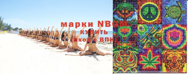 сатива Абаза